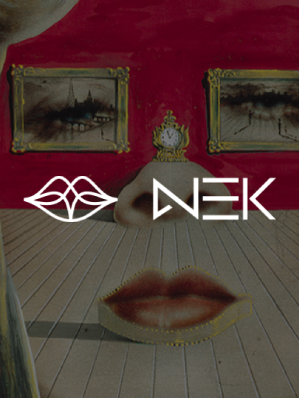 Branding | Nascimento da Nek